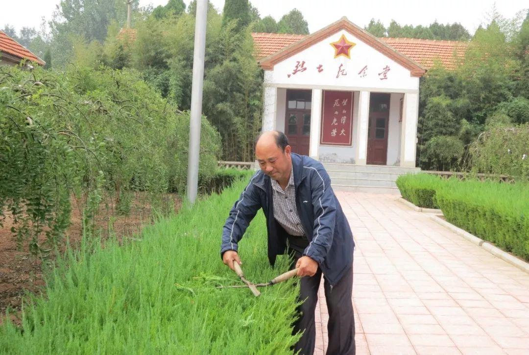 莱阳市退役军人事务局最新战略发展规划概览